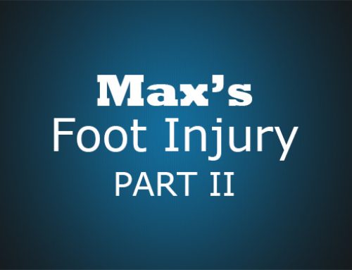 Max’s Foot Injury Part II