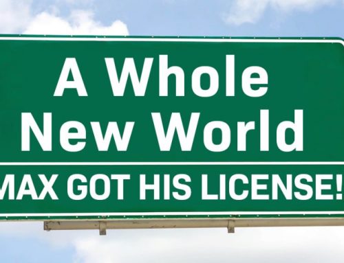 A Whole New World! Max got his License!