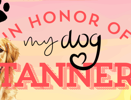In Honor of my dog Tanner