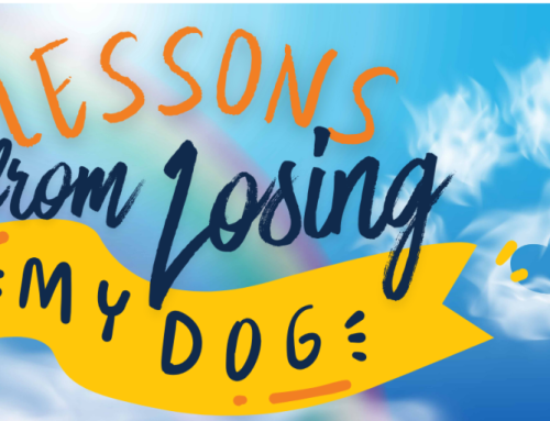 Lessons From Losing My Dog